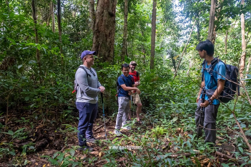 A group of people hiking in a dense forest with tall trees and thick underbrush. 3