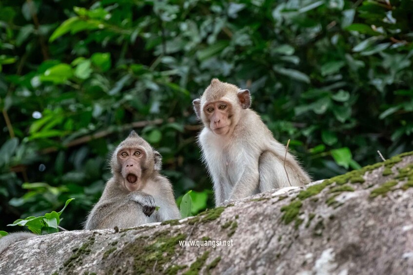 Picture 7 for Activity Phu Quoc: Tien Son Dinh 6-Hour Jungle Trekking Adventure 4