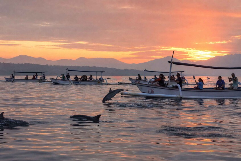 Picture 3 for Activity Bali: Lovina Sunrise Boat with Dolphin Watching & Snorkeling 2