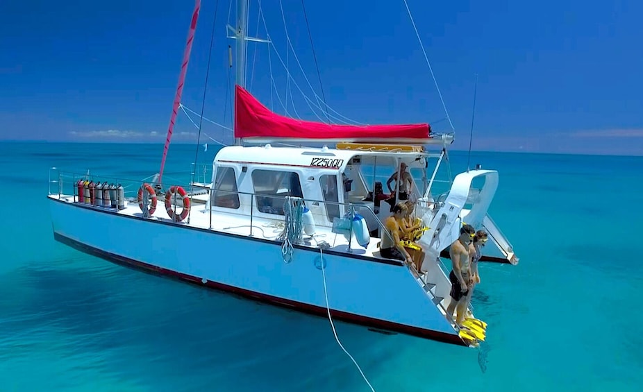 A blue boat with a red canopy, life buoys, and a person in swimwear preparing to jump into the water. 5