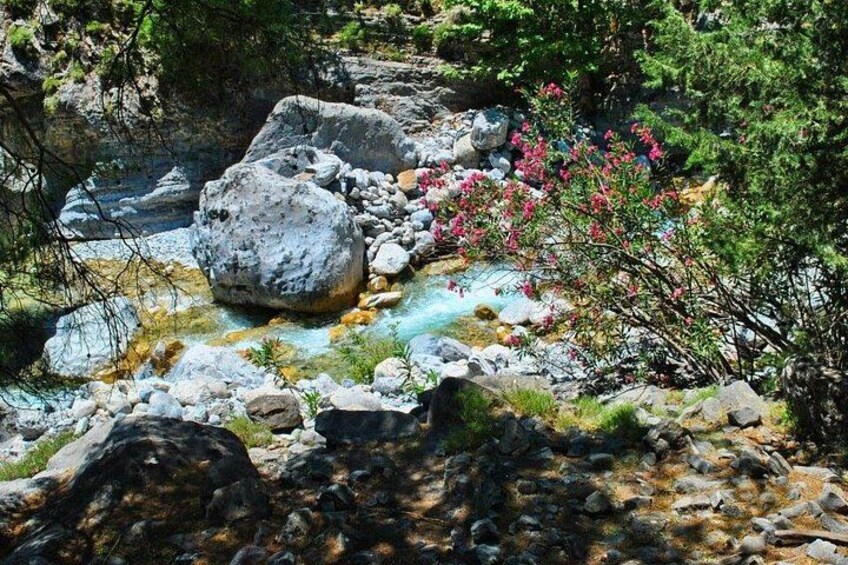 A rocky stream with clear water, surrounded by greenery and rocks. 3