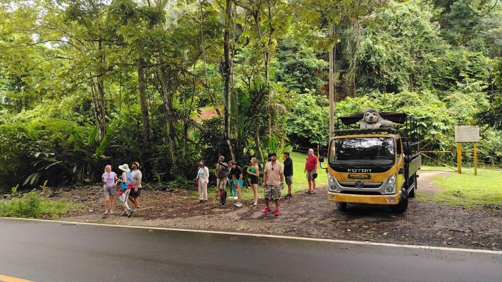 Picture 18 for Activity Panama Canal:Monkey Island,Sloth Safari, Natural Pool & Hike 2