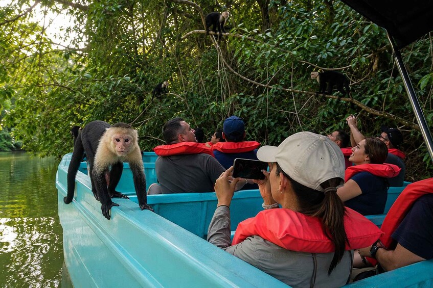 Panama Canal: The Most Complete Monkey Island Experience 1