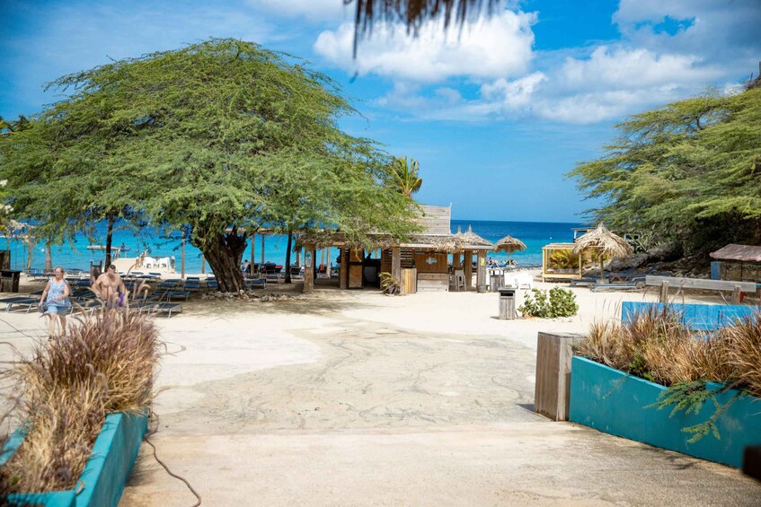A beach with a wooden structure, palm trees, and a clear blue sky. 3