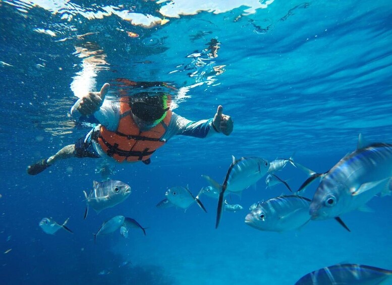 Picture 16 for Activity Cozumel: Snorkeling at Playa El Cielo with drinks, ceviche, and more 1