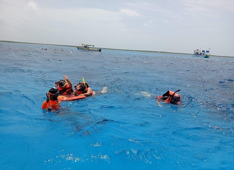 Picture 45 for Activity Cozumel: Snorkeling with Starfish, Stingray, El Cielo with Drinks, Ceviche & More 4