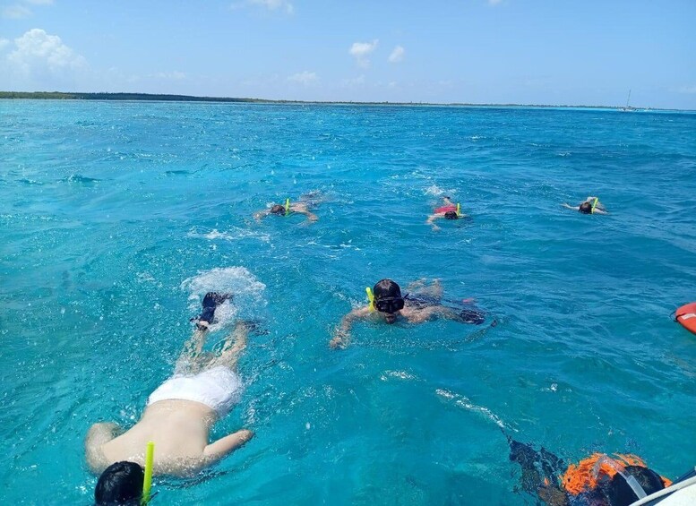 A group of people snorkeling in clear blue water. 2