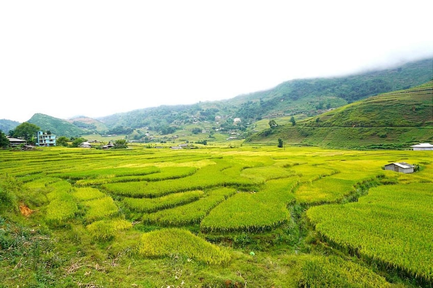 Picture 4 for Activity Sa Pa: Half-Day Cat Cat Village Hike to Meet H'mong People 3