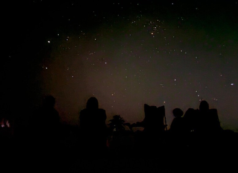 Picture 18 for Activity Mayan Night Safari: Crocodiles, Stars & Legends 5