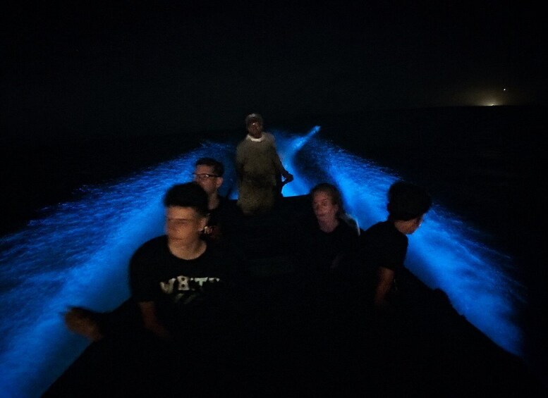 Mayan Night Safari: Crocodiles, Stars & Legends 1