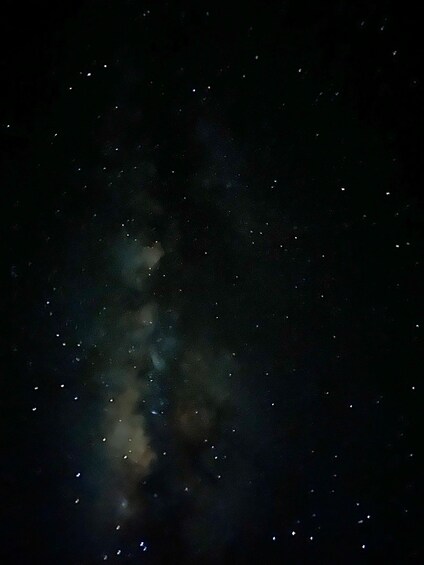 Picture 25 for Activity Mayan Night Safari: Crocodiles, Stars & Legends 4
