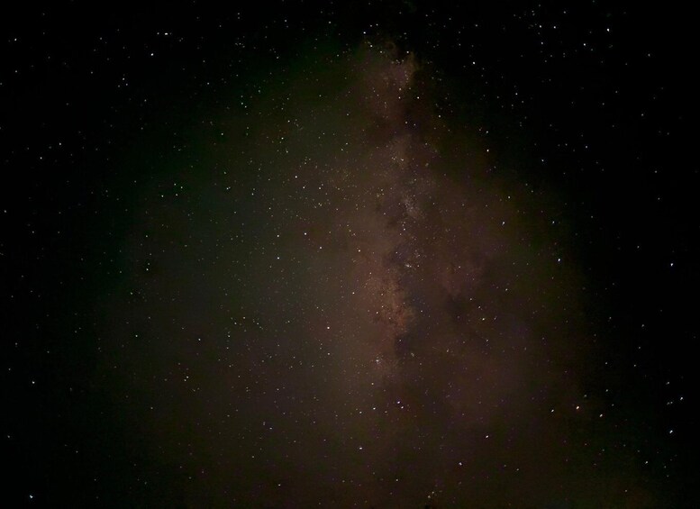 Picture 19 for Activity Mayan Night Safari: Crocodiles, Stars & Legends 3
