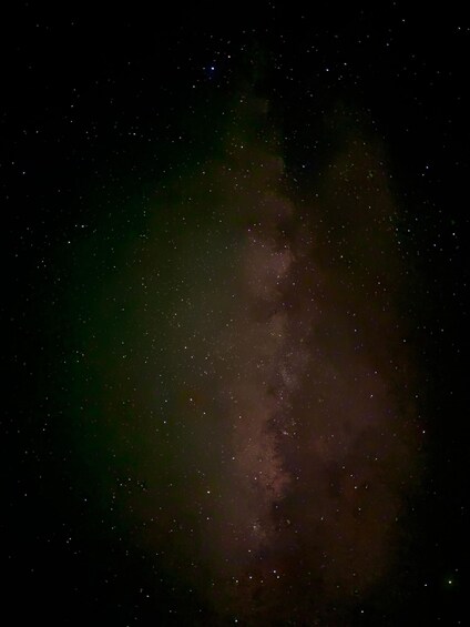 Picture 21 for Activity Mayan Night Safari: Crocodiles, Stars & Legends 3