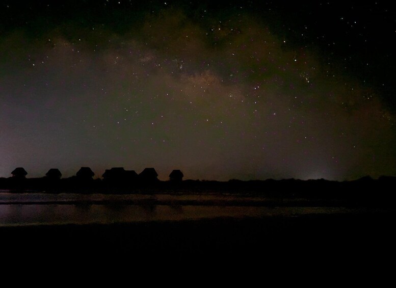 Picture 20 for Activity Mayan Night Safari: Crocodiles, Stars & Legends 2