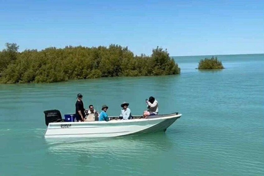 Explore the mangrove creek systems by tender boat 5
