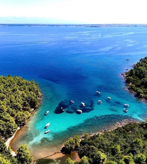 Una zona costera con aguas azules cristalinas, barcos fondeados cerca de la orilla y abundante vegetación verde. 1