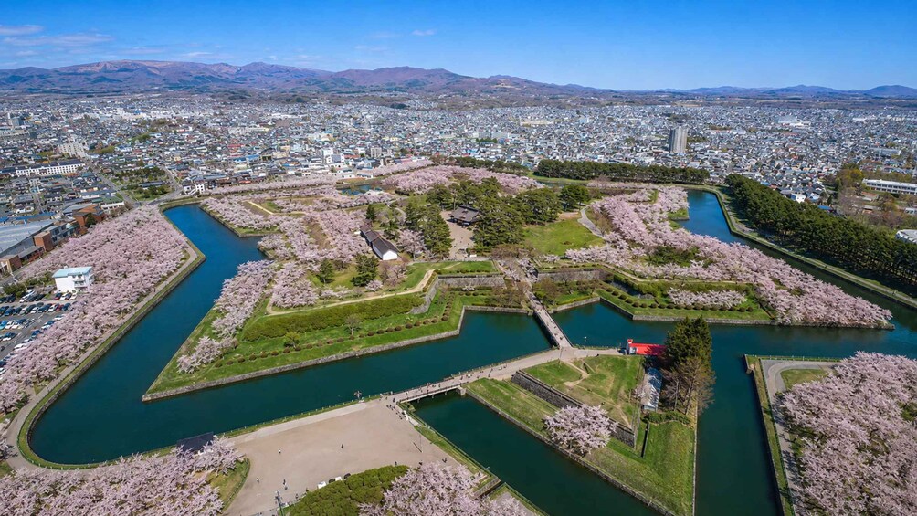 A cityscape with a large park featuring cherry blossoms and a river. 2