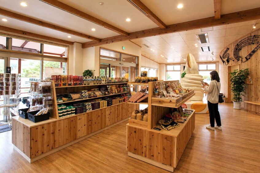 Picture 8 for Activity Hakodate Driver-Guide Tour: UNESCO Jomon & Geyser 5