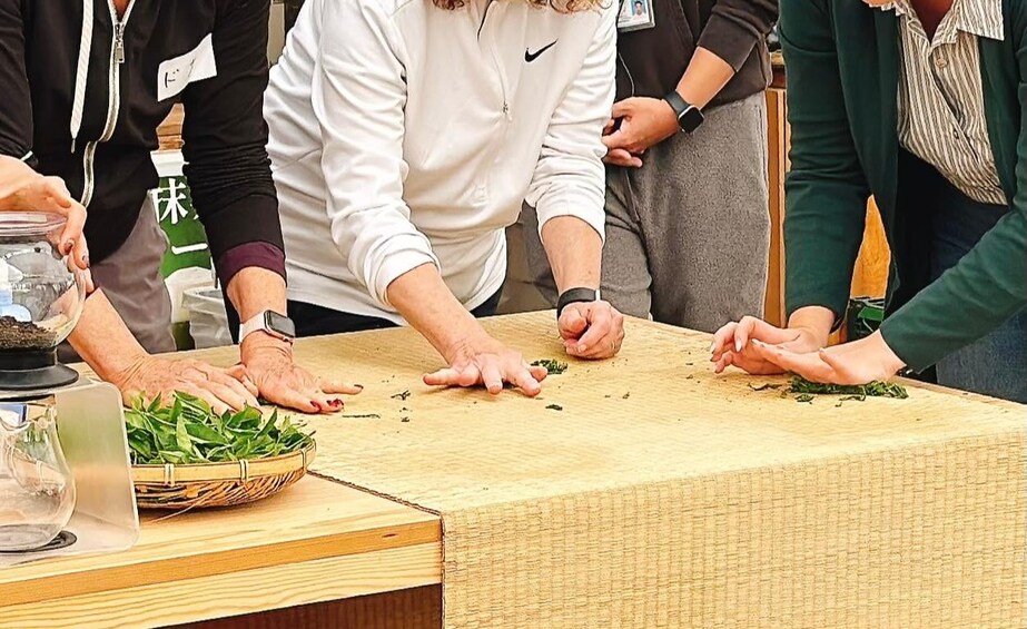 Picture 5 for Activity From Tokyo: Authentic Tea Picking & Farm-to-Table Lunch 5
