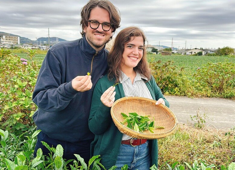 Picture 2 for Activity From Tokyo: Authentic Tea Picking & Farm-to-Table Lunch 2