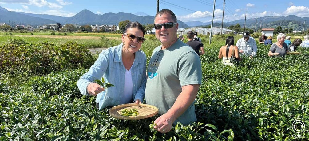 Picture 10 for Activity From Tokyo: Authentic Tea Picking & Farm-to-Table Lunch 2