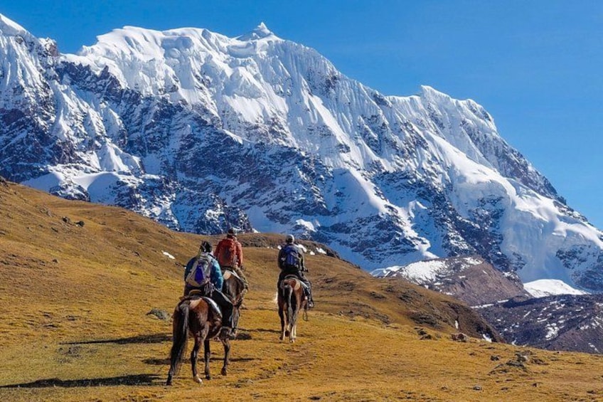 A group of people horseback riding on a grassy slope with snow-capped mountains in the background. 1