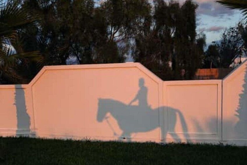 One Hour and Half Horse Ride Beach Lagoon or Trail 5