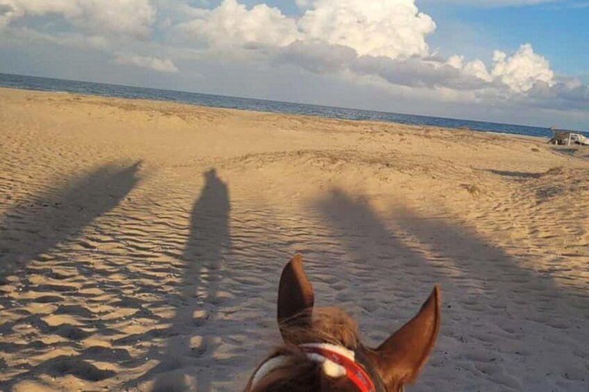 One Hour and Half Horse Ride Beach Lagoon or Trail 3