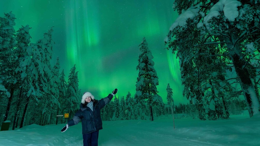 Una persona en un bosque nevado con auroras boreales verdes en el cielo. 5