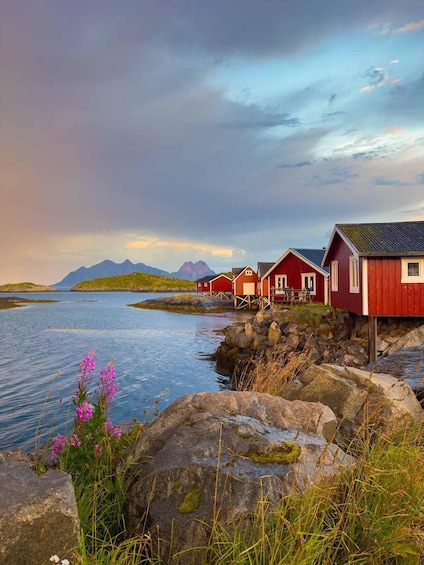 A coastal scene with red wooden houses on stilts, a calm sea, and mountains in the distance. 4