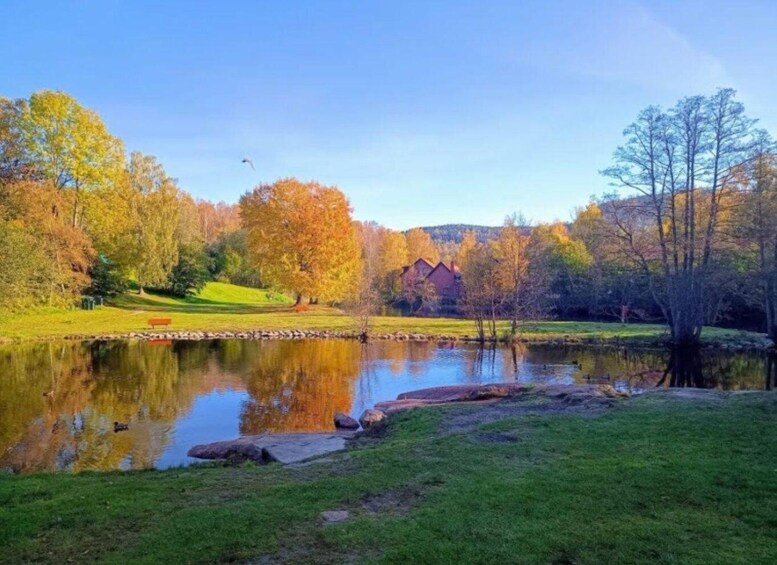 Picture 4 for Activity Private Akerselva River Walk (Oslo) 5