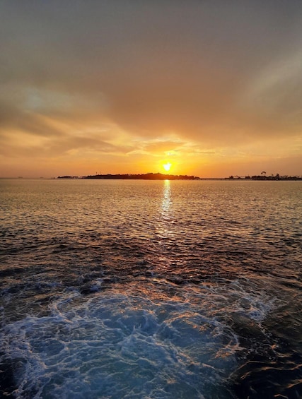 A sunset over a body of water with waves and a distant shoreline. 3