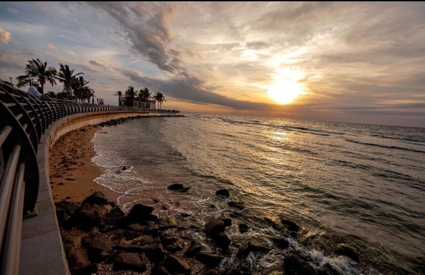 A beach with palm trees, a curved walkway, and the ocean. 5