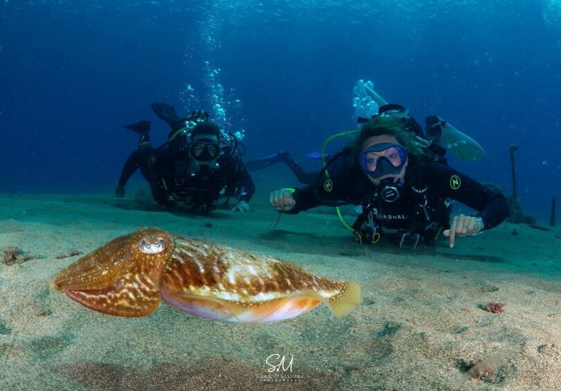 Two scuba divers and a fish on the ocean floor. 2
