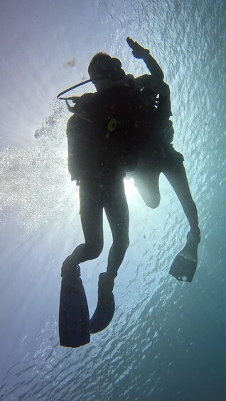 A diver with fins and a tank, swimming underwater. 4