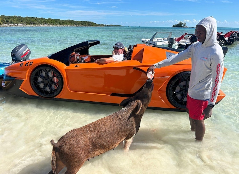 Nassau Bahamas: Jetcar Excursion to Pig Island Tour $450 1