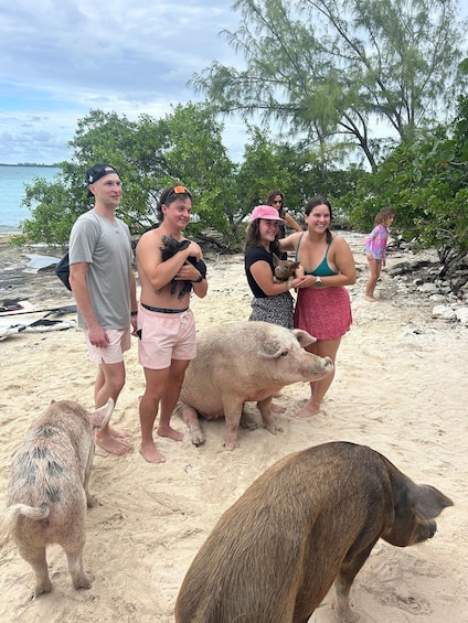 Picture 3 for Activity Nassau Bahamas: Jetcar Excursion to Pig Island Tour $450 5
