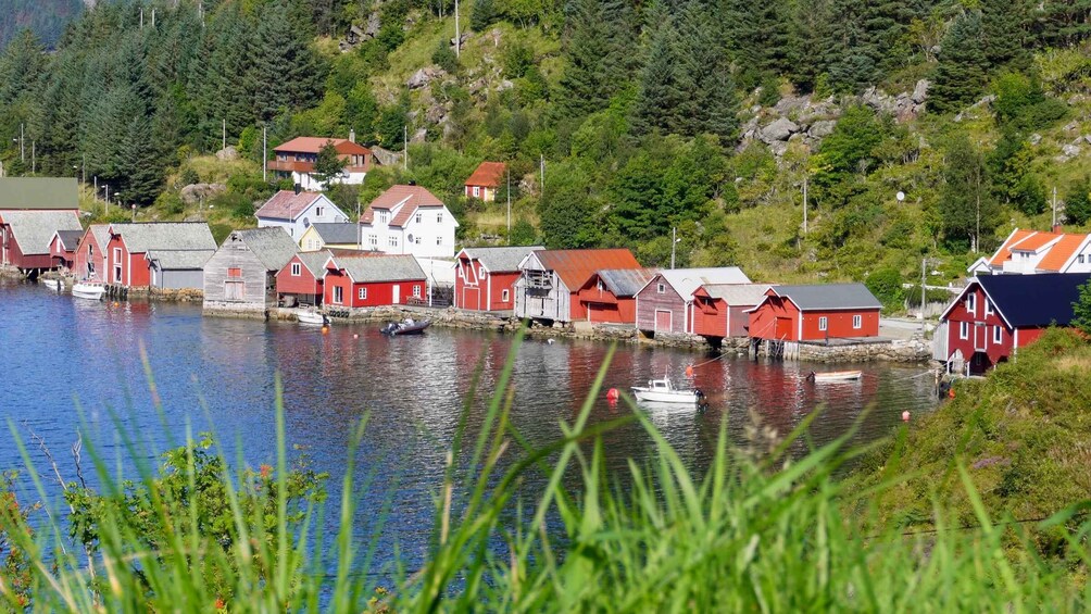 Picture 3 for Activity Måløy: Sustainable Minibus Tour to Kannesteinen & Lighthouse 3