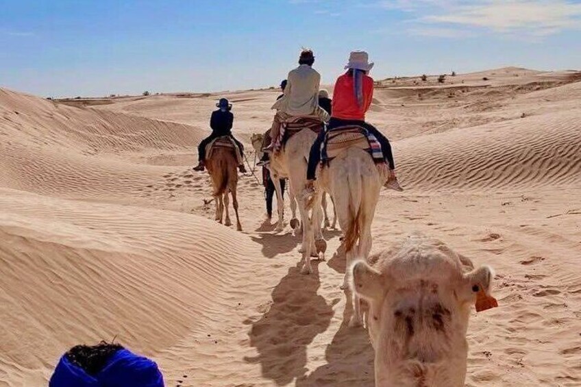 People riding horses through a desert with sand dunes. 1