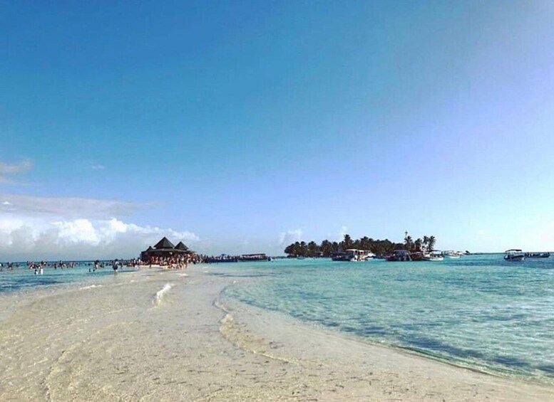 A beach with clear turquoise water, a sandy shore, and a small island with buildings in the background. 5