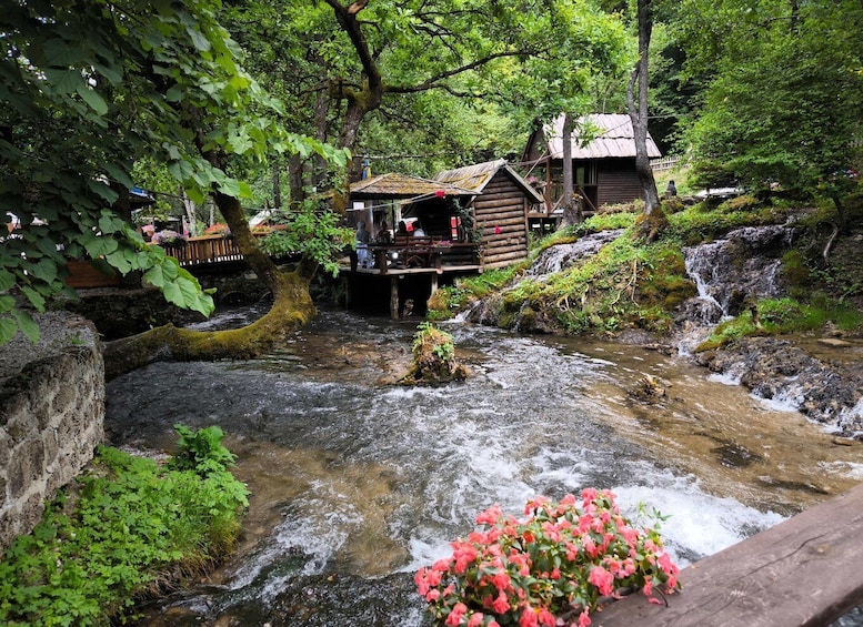A forested area with a flowing stream, wooden cabins, and a wooden bridge. 3