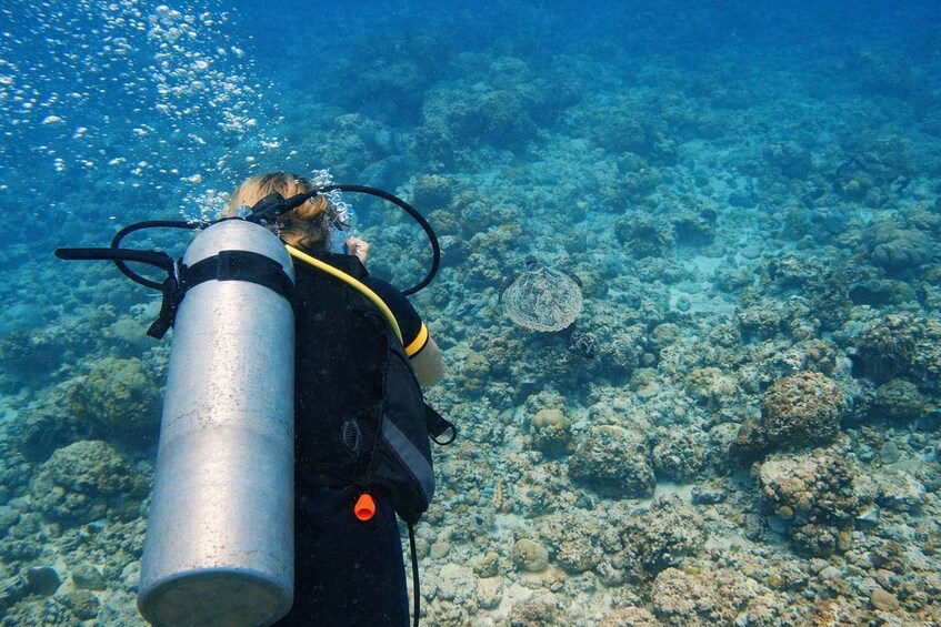 A diver with a scuba tank underwater, surrounded by coral reefs. 3