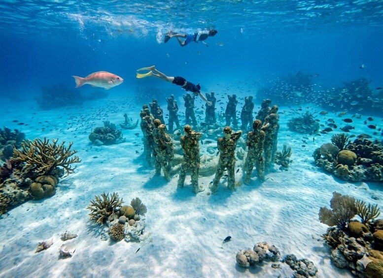 Divers underwater with a fish and coral formations. 1