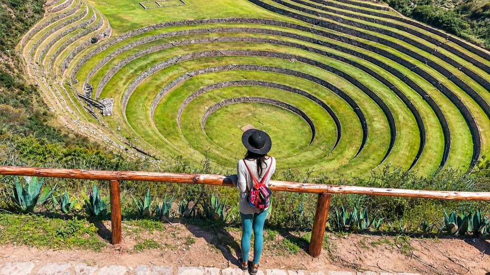 A person standing at a viewpoint overlooking a large spiral-shaped terraced field. 2