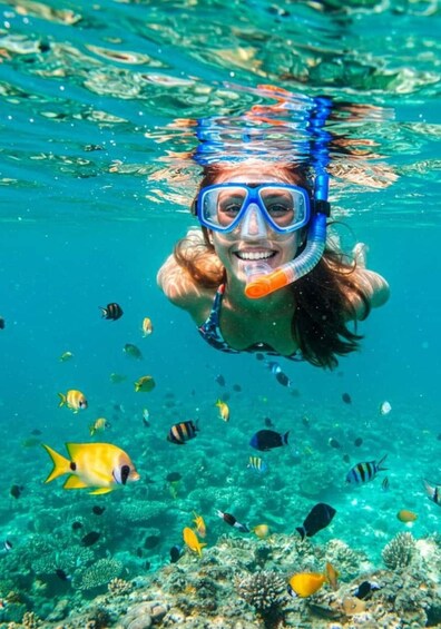 A person snorkeling underwater with various fish around. 4
