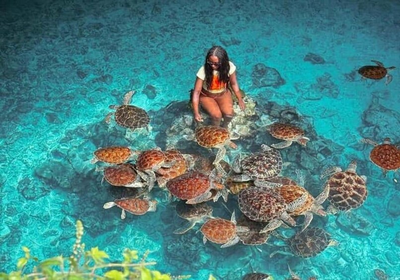 A person surrounded by sea turtles in clear blue water. 1