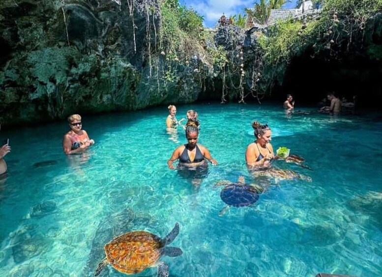 A group of people swimming in a clear blue pool surrounded by lush greenery and rocky cliffs. 5