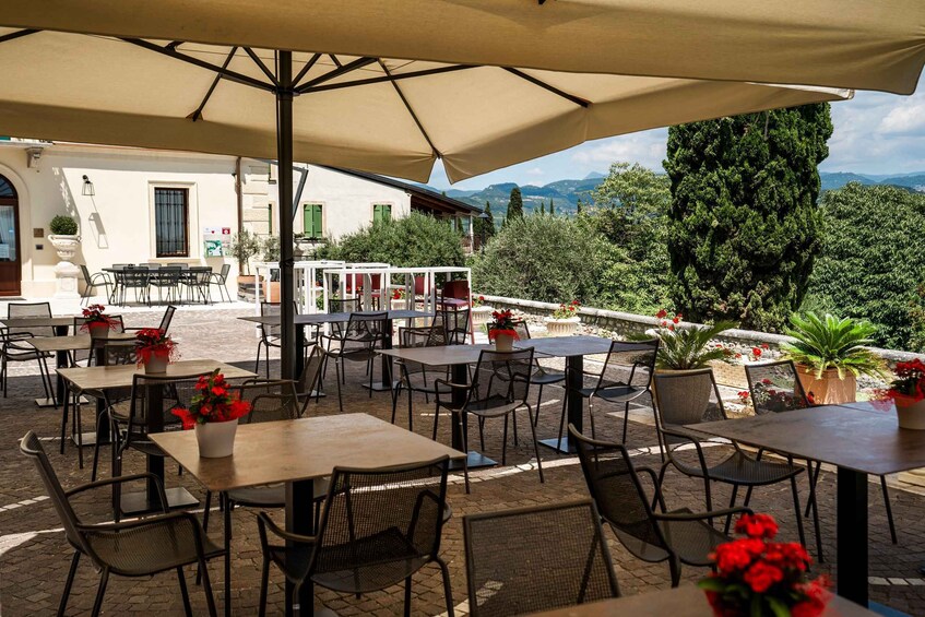 Picture 10 for Activity Valpolicella Classica – Signature Collection panoramic wine tasting 5