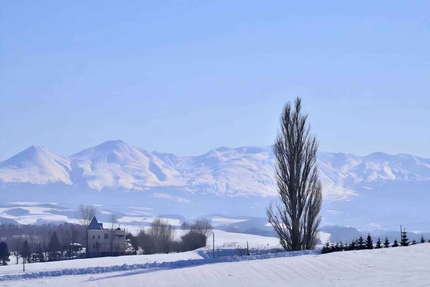A snowy landscape with a mountain range in the background, a few buildings, and a leafless tree in the foreground. 5