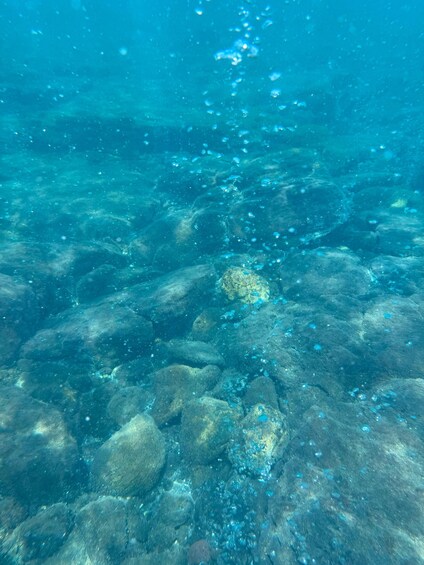 Picture 11 for Activity From Lipari: Private Boat Tour with Snorkeling among Volcanoes, Bubbles, and Lava 3